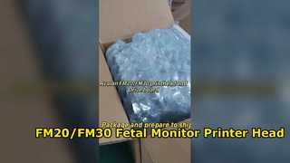 FM20/FM30 Fetalmonitor-Druckkopf, neues Original